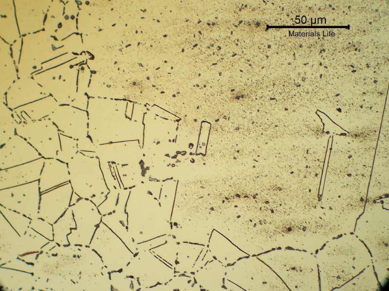 Micrographic detail of the fitting base metal, presenting an austenitic structure with intergranular and transgranular precipitation as a result of microstructural evolution.