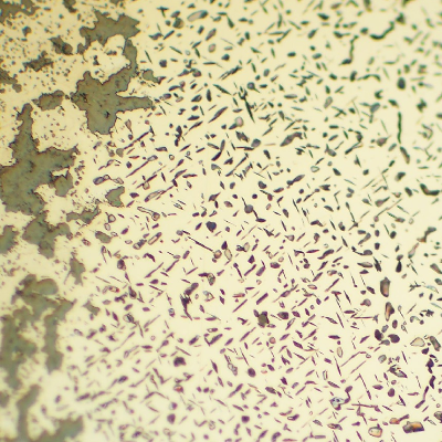 Micrographic detail of the seam weld close to the internal surface, presenting the needles that are the result of microsctructural evolution and cracks filled with oxides.