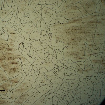 Micrography of a longitudinal section of the fitting, at the base metal, presenting an austenitic structure with intergranular and transgranular precipitation as a result of microstructural evolution.