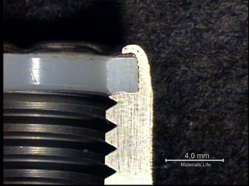 The nut was sectioned in the longitudinal direction to reveal the position of the Nylon insert.
