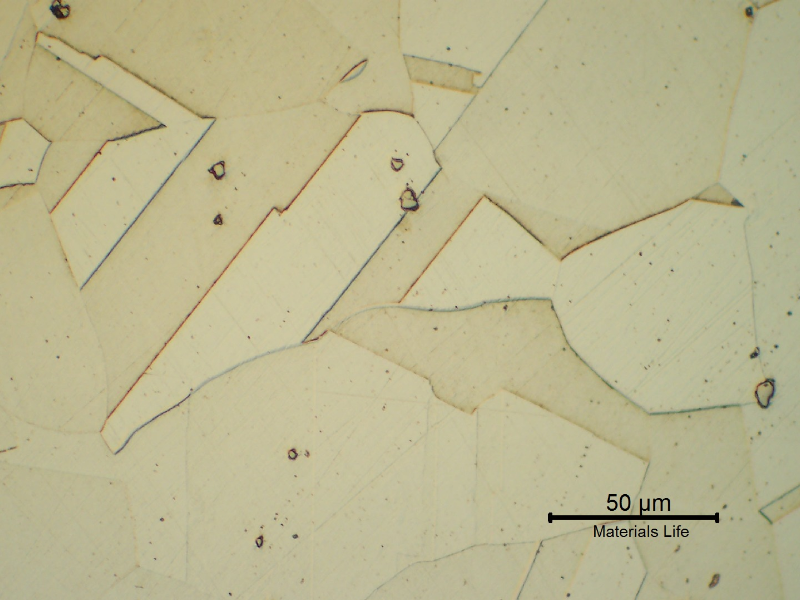 Micrography of the nut in the longitudinal direction, in the center of the thickness, presenting a granular austenitic structure free from detrimental phases.