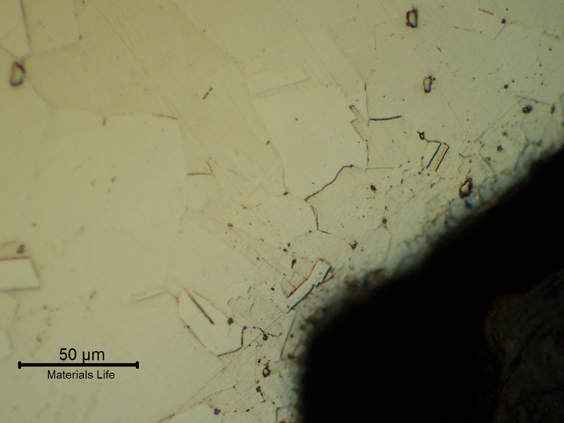 Micrographic detail of the nut at the thread, presenting a granular austenitic structure free from cold forming effects.