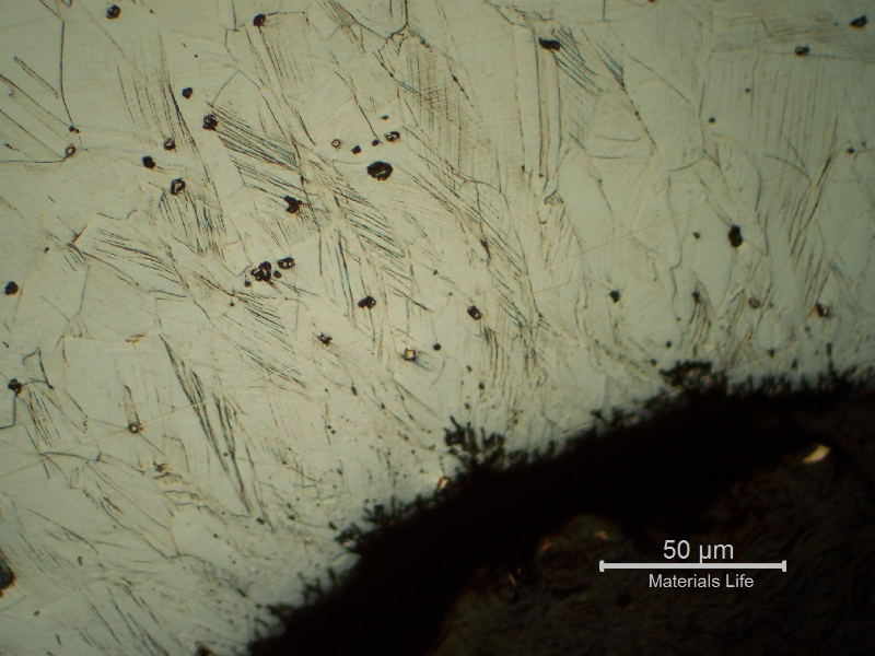 Micrographic detail of the nut at the cold formed region where the nut was bent over the Nylon insert.  It is possible to see strain hardened structures (600HV 100g).