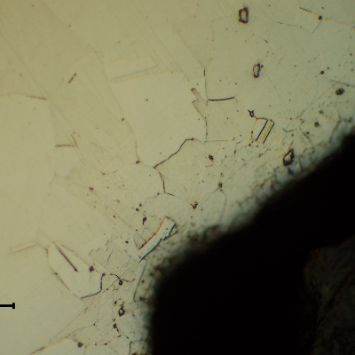 Micrographic detail of the nut at the thread, presenting a granular austenitic structure free from cold forming effects.