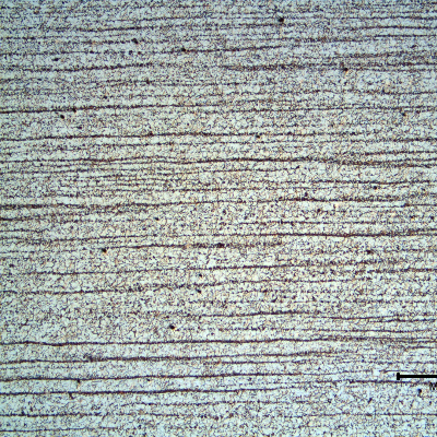 Micrography of a longitudinal section of the 1" plate, in the center of the thickness, presenting a refined ferritic perlitic microstructure. Banded.