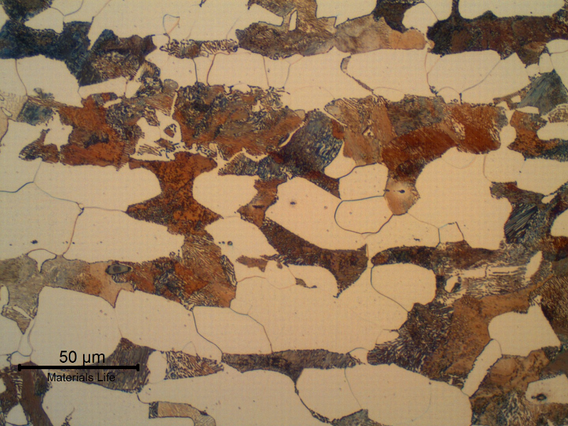 Micrographic detail of the ferritic-perlitic structure, typical of a hot forming process, in the center of the thickness.