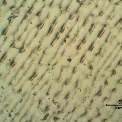 Micrographic detail of the weld metal at the root pass.