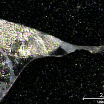 Macrography of the pipe to fitting welded joint, in a region very close to the leakage. The sligthly localized thinning is in the weld metal close to the elbow.