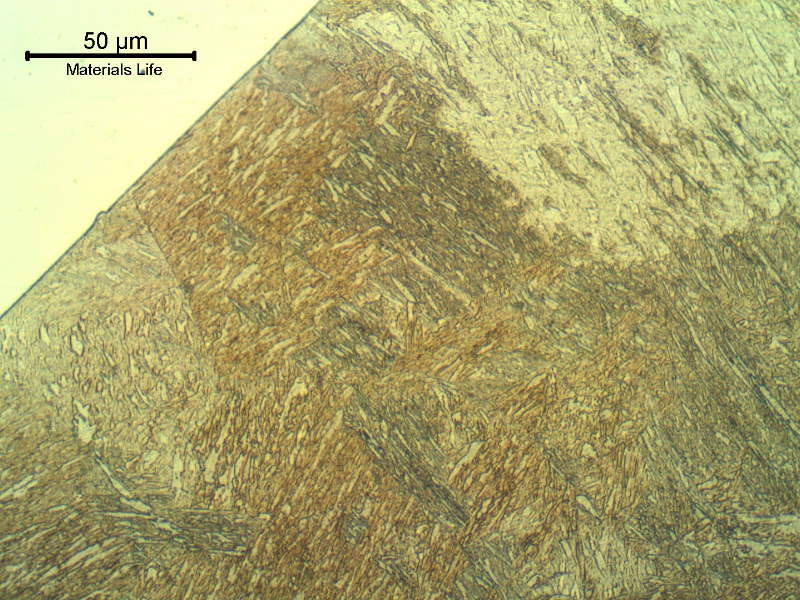 Micrographic detail of the fusion line showing a non reheat heat affected zone of the cap pass.  Weld metal (non etched) in the left.
