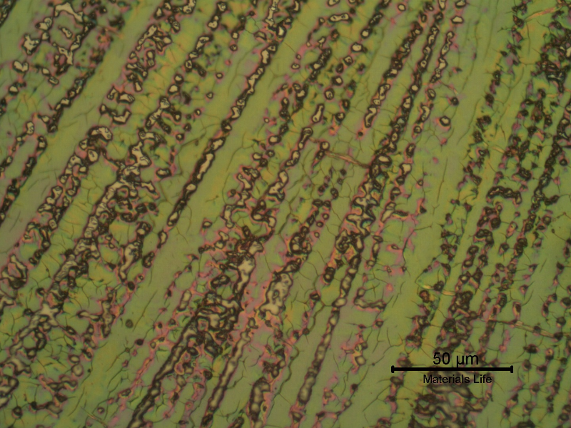 Micrographic detail of the weld metal in the cap pass, presenting a columnar dendritic microstructure. Chromic acid, electrolytic etched.