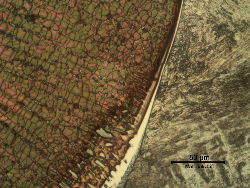 Micrographic detail of the fusion line. The white layer is a region of planar growth. Chromic acid, electrolytic etched.