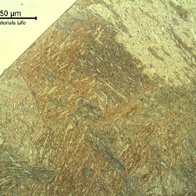 Micrographic detail of the fusion line showing a non reheat heat affected zone of the cap pass.  Weld metal (non etched) in the left.