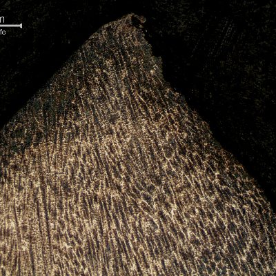 Micrography of the fractured region in the center of the fillet weld metal, that is hard due to the increase in the Mn and Si contents.