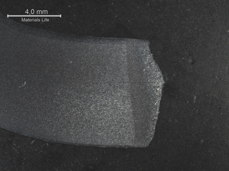 The macrography presents the position of the fracture in the superior plate (8 mm thickness).
