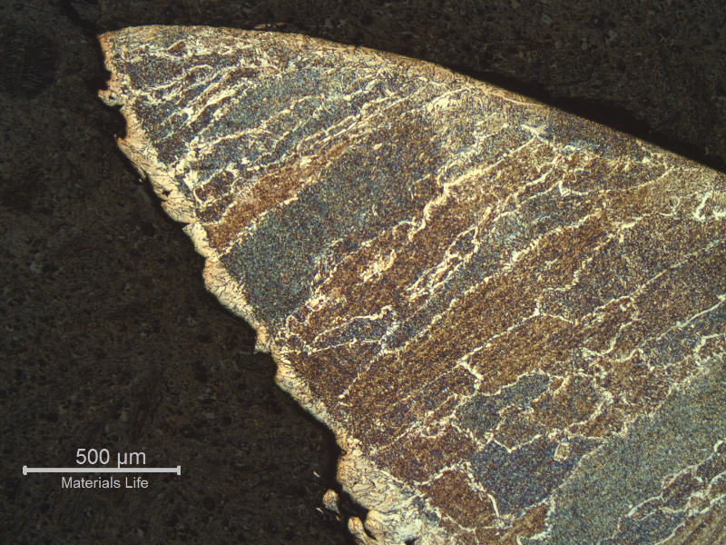 Micrography of the fracture at the fillet weld margin. The fracture occurred in the coarse grain heat affected zone of the superior plate (8 mm thickness).