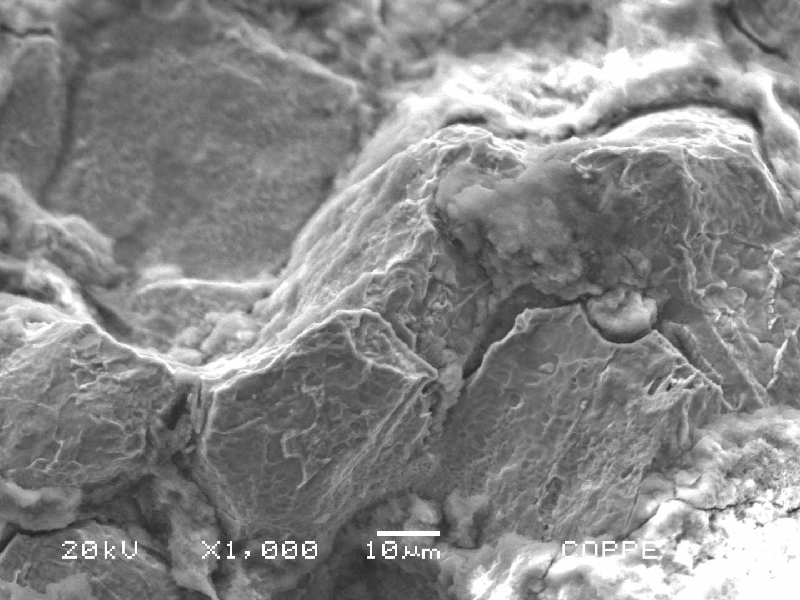 The fracture presents an intergranular aspect, and evidences of incipient melting, indicating a liquation cracking has occurred at the plate coarse grain heat affected zone/fusion line.