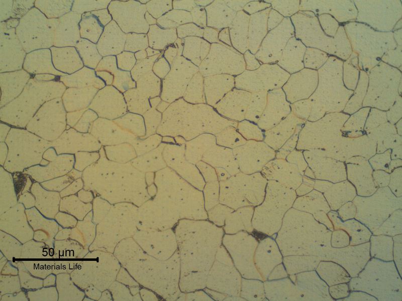 Micrographic detail of the ferritic low carbon steel plate (8 mm superior plate).