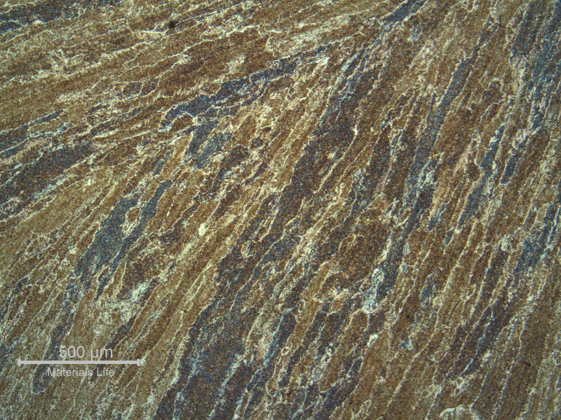 Micrographic detail of the weld metal presenting a typical low carbon steel structure (acicular ferrite and previous austenite grain boundary ferrite).