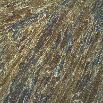 Micrographic detail of the weld metal presenting a typical low carbon steel structure (acicular ferrite and previous austenite grain boundary ferrite).