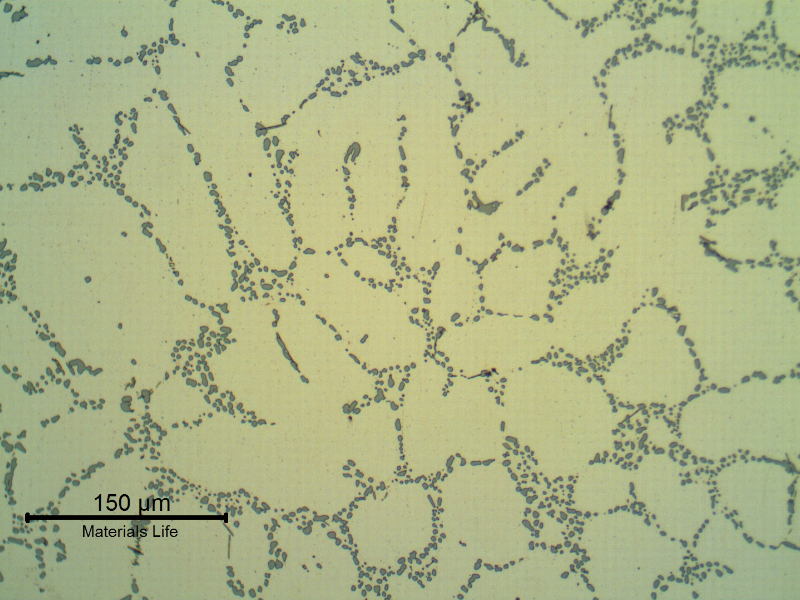 Micrography of the cast rim, base metal, in the as polished condition, showing the dendrites of alpha aluminum and interdendritic eutectic Si/alpha, silicon particles in a coalesced condition that sugegsts a solution annealed treatment.
