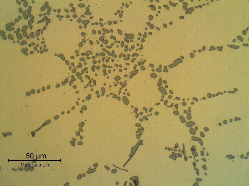 Micrographic detail of the cast rim, base metal, in the as polished condition, showing the dendrites of alpha aluminum and interdendritic eutectic Si/alpha, silicon particles in a coalesced condition that sugegsts a solution annealed treatment.