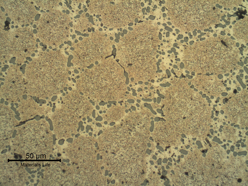 Micrographic detail of the cast rim, base metal, showing the dendrites of alpha aluminum and interdendritic eutectic Si/alpha, silicon particles in a coalesced condition that suggests a solution annealed treatment.  After etching it is possible to identify a transgranular precipitation (aging) and a dark FeSiAl phase (neddles).