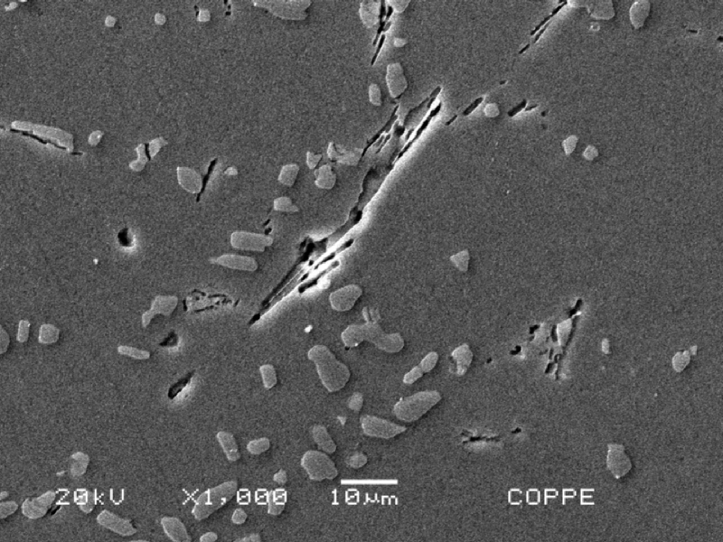 Micrographic detail of the cast rim at the heat affected zone presenting coalesced Si particles at the interdendritic space an neddles of Fe rich phase. Keller etch.