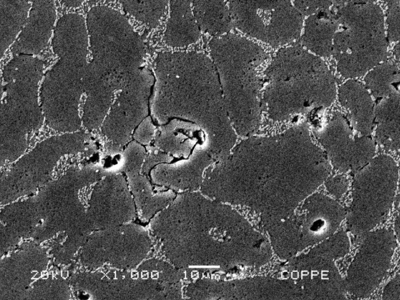 Hot cracks in the fusion zone.  The eutectic regions were melted and cracked in an interdendritic morphology.