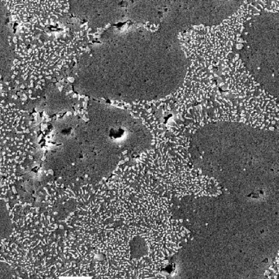 Refined dendrites in the weld metal. The Si/Al alpha eutectic in the interdendritic space is also refined. Keller etch.