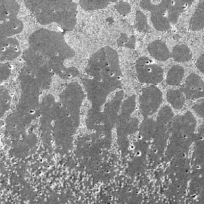 Low magnification micrography of the welded region, showing the interface between the base in the bottom and the fusion zone (between the liquidus and solidus temperatures), as well as the weld metal in the top.  There are pores close to the weld metal and in the fusion zone the interdendritic space was melted and the eutectic morphology was changed. Keller etch.