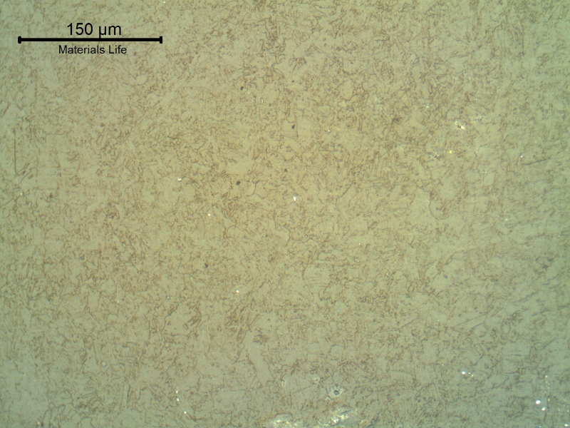 The thick wall tube presented a bainitic structure at the surface, where the replica was conducted. The base material material hardness is 167 HB.