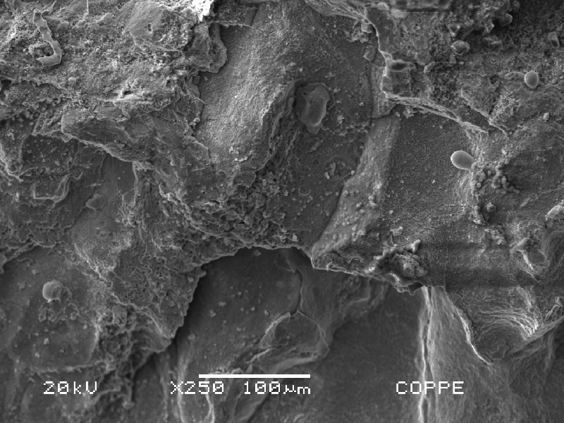 Intergranular morphology of the fracture in a scanning electron microscopy image.