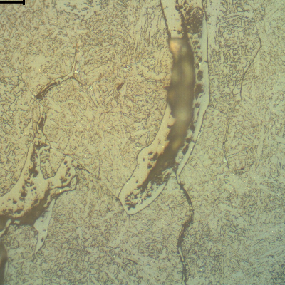 Detail of the weld metal intergranular and branched cracking (in the previous austenite grain boundaries). The replication technique was adopted to define the nature of the cracks.