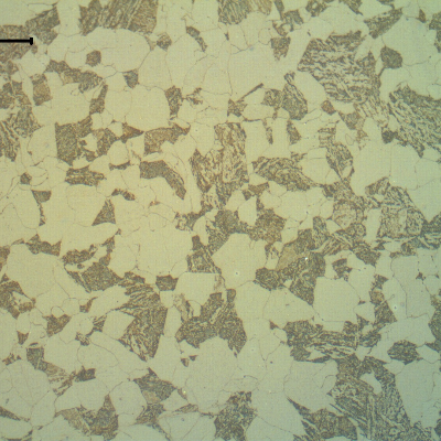 The forged T presented a ferritic perlitic/bainitic structure at the surface, where the replica was conducted. The base material material hardness is 180 HB.