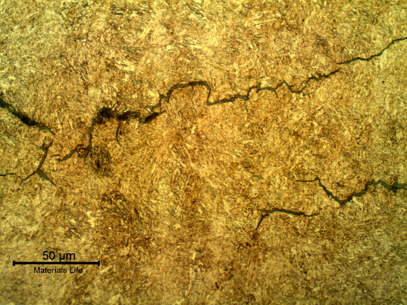 Micrographic detail of the intergranular morphology of the internal hydrogen cracks.