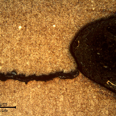 Micrography of a longitudinal section of the fastener, at the threat fillet, showing a transverse cracking.