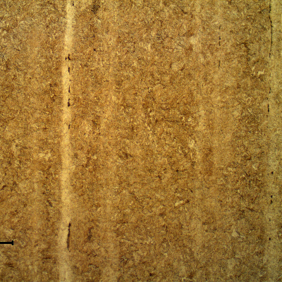 Tempered martensitic structure of a longitudinal section of the fastener. Slightly banded material. Hardness level about 42 HRc.