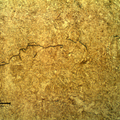 Thin intergranular cracks in the center of the bolt thickness. 
Not continuous and not opened to the surface.