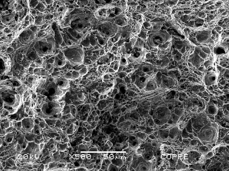 Microscopic aspect of the fracture, close to the bolt surface where the fracture is macroscopically ductile (probably the final fracture), presenting dimples as the fracture micromechanism.