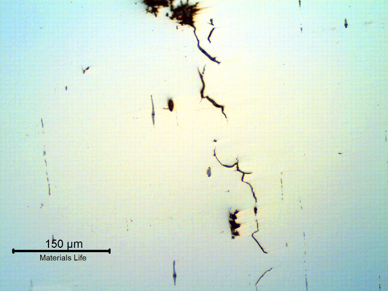 The micrography, in the "as polished" condition, of the longitudinal section of the bolt showing that there are non-continuous longitudinal cracks, intergranular, associated to regions of impurities, probably segregation bands, as evidenced by the grey elongated sulfide inclusions.