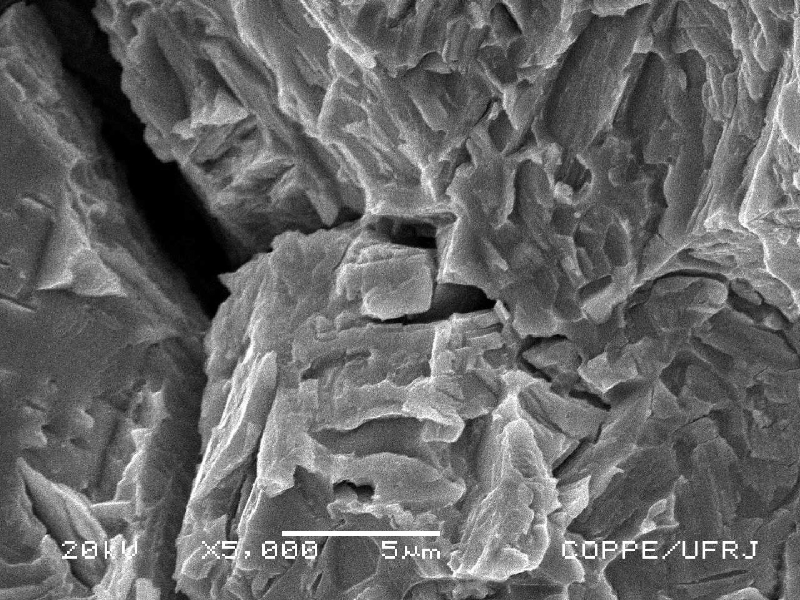 The fracture of the stud presented transgranular aspects and secondary cracks that appear to be related to small broken particles.
