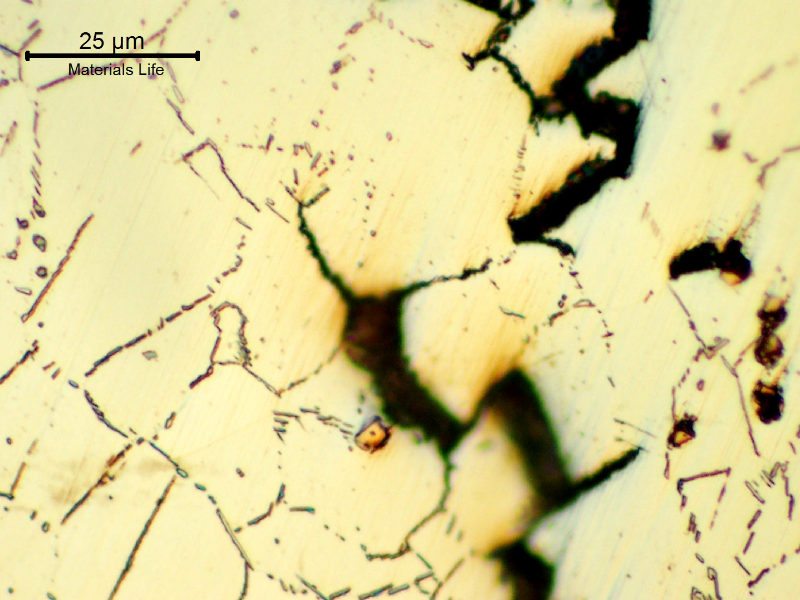 Micrographic detail of a longitudinal section of the stud, at the fracture surface, in the thread. It is possible to see primary precipitates (yellow) already cracked and intergranular propagation.