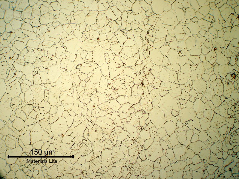 The stud presents an austenitic structure, with primary and secondary precipitates of a size that is visible in low magnification microscopy.