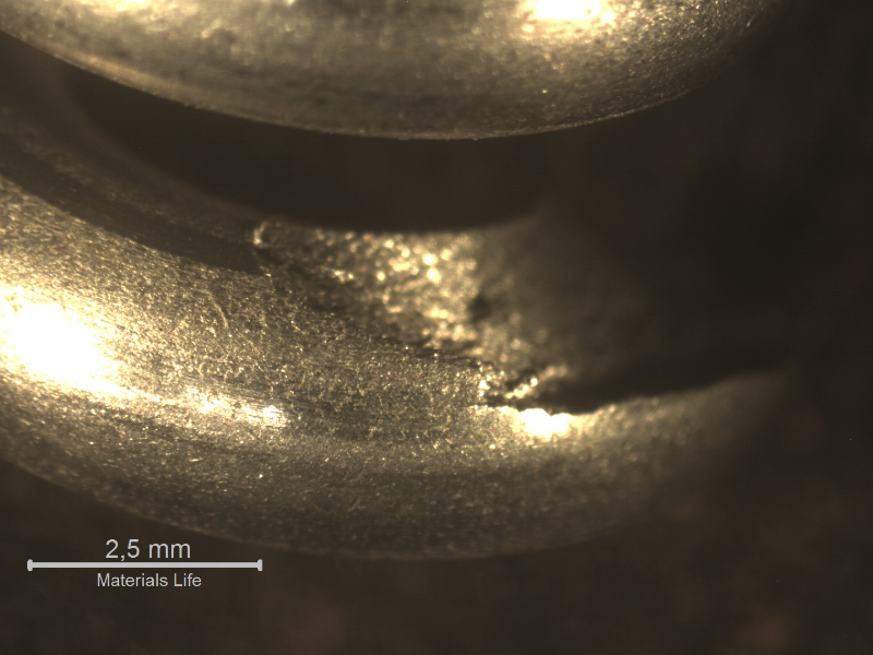 Detailed aspect of the spring close to the fracture position. The wire surface shows a morphology that reveals the material structure.