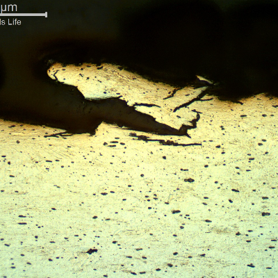 Micrography of a longitudinal section of the wire, at the fracture surface (top of the figure) evidencing the intergranular and transgranular aspects of the hydrogen assisted cracking mechanism.