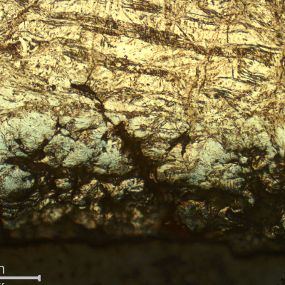Micrographic detail of the spring wire surface, far from the fracture, showing several small intergranular cracks.