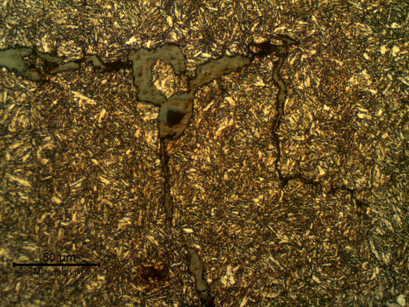 Micrographic detail of the (secondary) crack propagating transverse to the bolt, from a thread fillet.