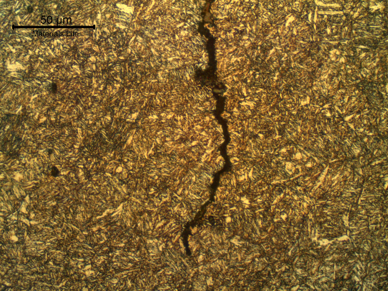Micrographic detail of the (secondary) cracks, longitudinal, connected to the fracture surface (in the top).