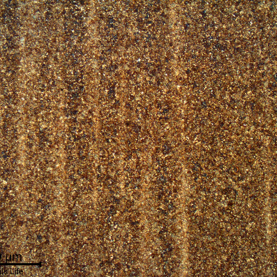 Micrography of the bolt in the longitudinal section, showing a tempered martensitic structure, slightly banded.
