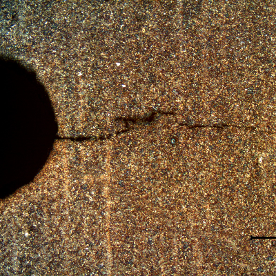 Micrography of a longitudinal section of the bolt, showing the (secondary) crack propagating, transverse to the bolt, from a thread fillet.